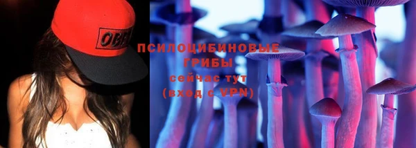 герыч Алексин