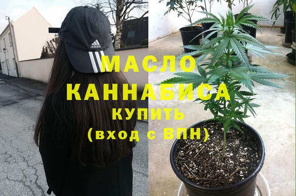 крисы Алзамай