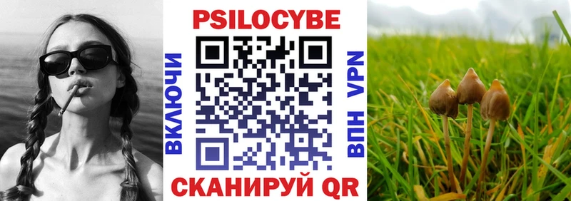 kraken как зайти  Комсомольск  Галлюциногенные грибы MAGIC MUSHROOMS  цена  